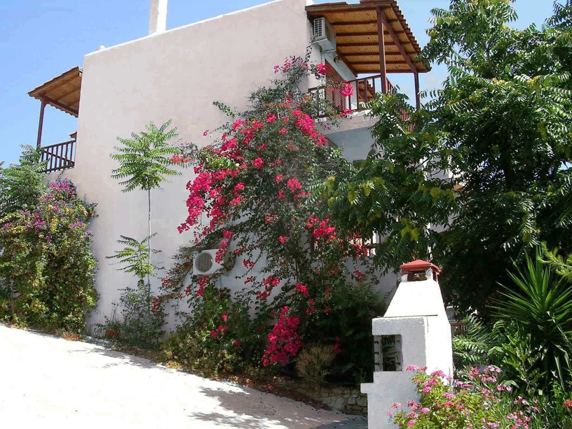 Agia Marina  123 Soleil Studios מראה חיצוני תמונה
